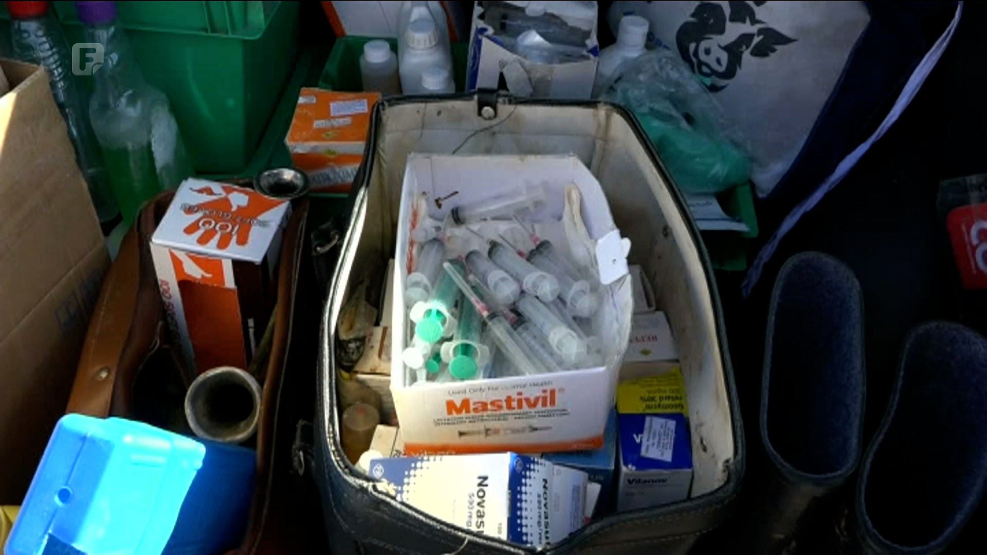 Godina pandemije bila je posebno teška za stočare